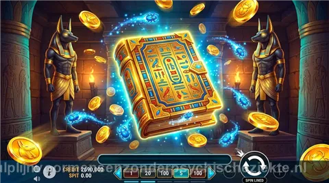 Book of Dead slot van Play n GO bij Spinalto